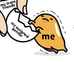 An egg yolk labelled "me" clinging to an egg shell labelled "my assigned gender", which is being pulled away by a hand labelled "my trans friends"